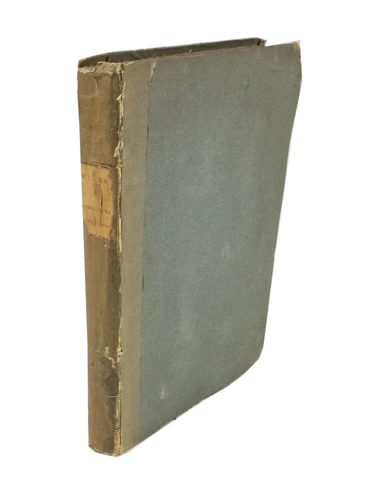Item #4580 A Practical Treatise on Architectural Jurisprudence. James ELMES.